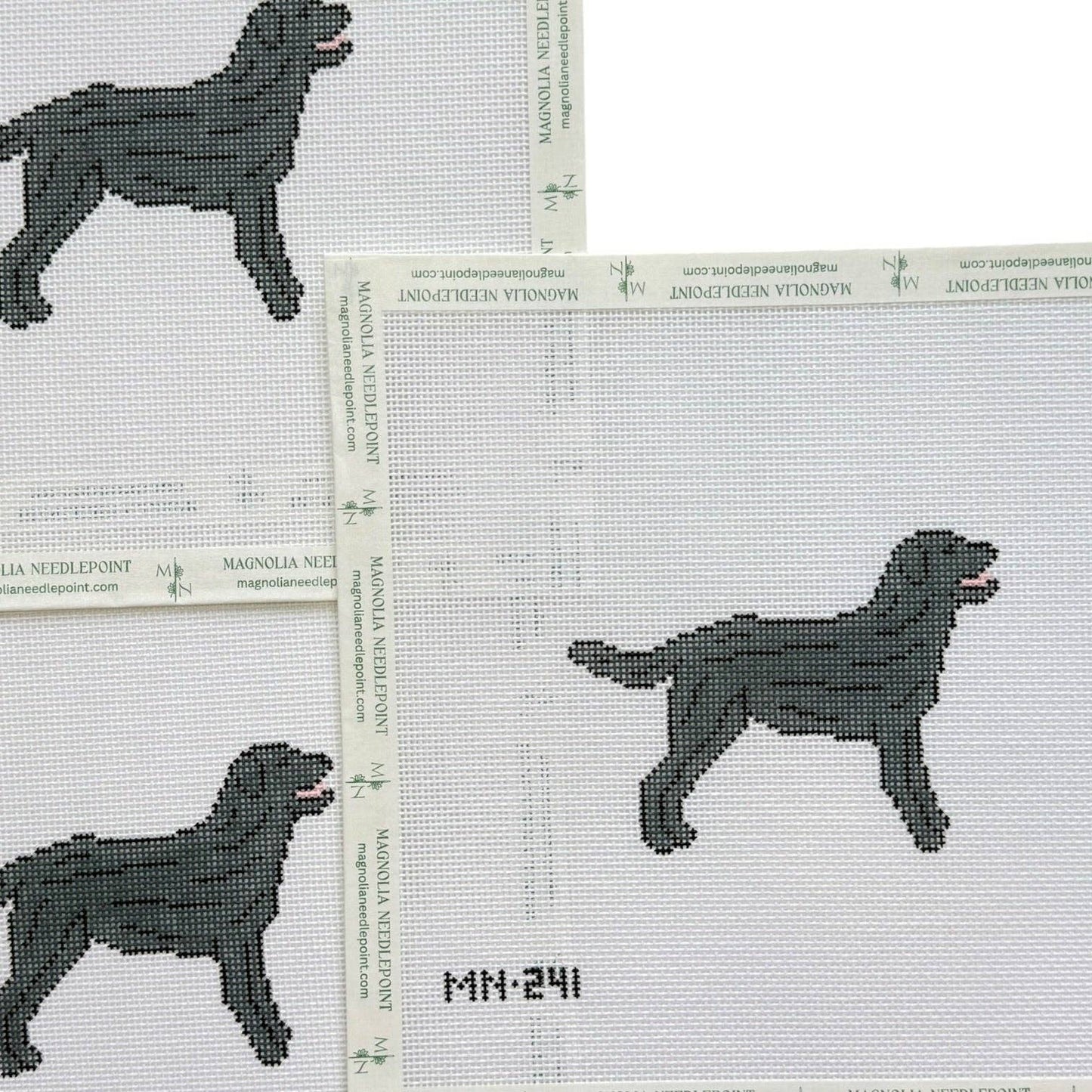 Black Labrador Retriever