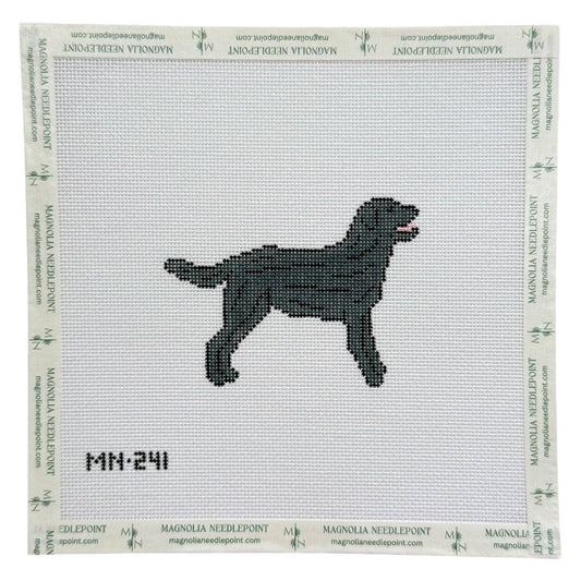 Black Labrador Retriever