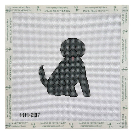 Black Doodle / Poodle